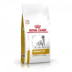 Croquettes Royal Canin Veterinary Diet Urinary S/O Moderate Calorie Pour Chiens Sac 1,5 Kg