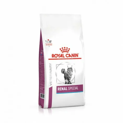Croquettes Royal Canin Veterinary Diet Renal Special RSF 26 Pour Chats Sac 4 Kg 1 Croquettes Royal Canin Veterinary Diet Renal Special RSF 26 Pour Chats Sac 4 Kg
