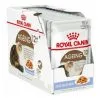 ROYAL CANIN Feline Health Nutrition Wet Ageing12+ Gelee 12x85g -ROYAL CANIN Soldes 2022 15788567 1