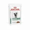 Royal Canin Veterinary Diet Diabetic Pour Chats Emincés En Sauce 12 Sachets 85 G -ROYAL CANIN Soldes 2022 17160096 1