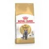Croquettes Pour Chat Royal Canin British Shorthair Adulte Pour Chat à Partir De 1 An Sac 4 Kg