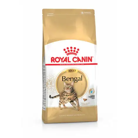 Croquettes Pour Chat Royal Canin Bengal Sac 10 Kg 1 Croquettes Pour Chat Royal Canin Bengal Sac 10 Kg