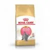 Croquettes Pour Chaton Royal Canin British Shorthair Kitten Sac 2 Kg 2 Croquettes Pour Chaton Royal Canin British Shorthair Kitten Sac 2 Kg -ROYAL CANIN Soldes 2022 23758080 1
