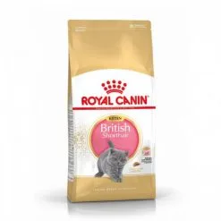 Croquettes Pour Chaton Royal Canin British Shorthair Kitten Sac 2 Kg