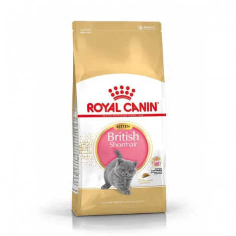 Croquettes Pour Chaton Royal Canin British Shorthair Kitten Sac 2 Kg -ROYAL CANIN Soldes 2022 23758080 1