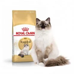 Croquettes Pour Chat Royal Canin Ragdoll Sac 2 Kg