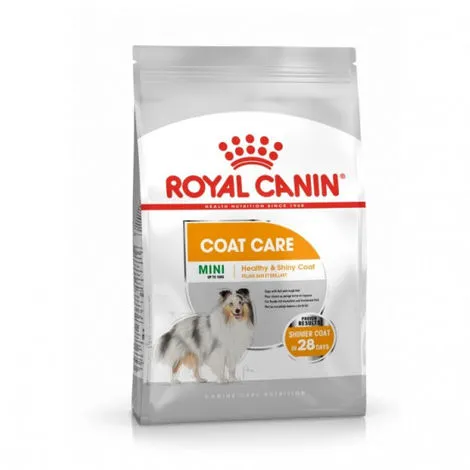 Croquettes Royal Canin Mini Coat Care Adulte Sac 8 Kg 1 Croquettes Royal Canin Mini Coat Care Adulte Sac 8 Kg
