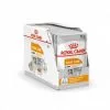 Mousse Royal Canin Coat Care Pour Chien - 12 Sachets Fraîcheur 85 G -ROYAL CANIN Soldes 2022 24497199 1