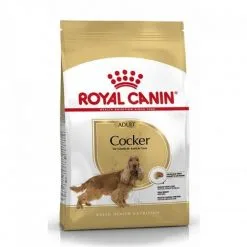 Croquettes Royal Canin Cocker Adulte Sac 3 Kg