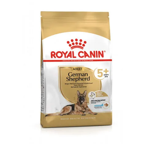 Croquettes Royal Canin Berger Allemand Adulte 5+ Sac 12 Kg 1 Croquettes Royal Canin Berger Allemand Adulte 5+ Sac 12 Kg