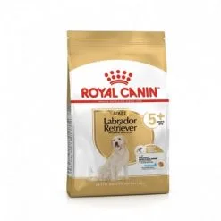 Croquettes Royal Canin Labrador Adulte 5+ Sac 12 Kg