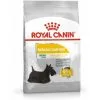 ROYAL CANIN Croquette Chien Royalcanin Mini Dermacomfort 1kg -ROYAL CANIN Soldes 2022 26974678 1