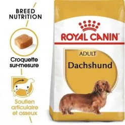 ROYAL CANIN Croquette Chien Royalcanin Teckel Adult 1,5kg -ROYAL CANIN Soldes 2022 26974811 3