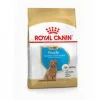 Croquettes Royal Canin Caniche Junior Sac 3 Kg -ROYAL CANIN Soldes 2022 27372081 1