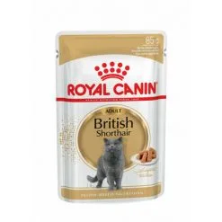 Pâtée Pour Chats British Shorthair Royal Canin British Shorthair Adulte 12 Sachets 85 G