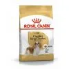 Croquettes Royal Canin Cavalier King Charles : 1,5 Kg 3 Croquettes Royal Canin Cavalier King Charles : 1,5 Kg -ROYAL CANIN Soldes 2022 32476766 1