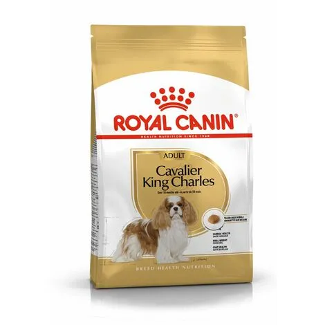 Croquettes Royal Canin Cavalier King Charles : 1,5 Kg 1 Croquettes Royal Canin Cavalier King Charles : 1,5 Kg