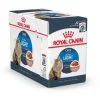 Patee Chat Royal Canin Light Sauce 12x85g -ROYAL CANIN Soldes 2022 49795297 1