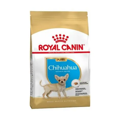 Nourriture Que Royal Canin Chihuahua Chiot (Junior) Chiots Chihuahua (jusqu'š 8 Mois) - 500g 1 Nourriture Que Royal Canin Chihuahua Chiot (Junior) Chiots Chihuahua (jusqu'š 8 Mois) - 500g