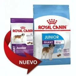 Nourriture Que Royal Canin Giant Junior Taille Taille Taille Taille (de 8 š 24 Mois) - 15 Kg