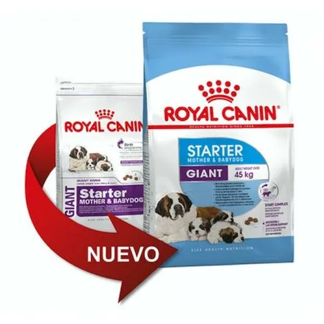 Nourriture Que Royal Canin Giant Starter Giant Taille Taille Des Chiots (jusqu'š 2 Mois) Et Des Mres Enceintes - 15 Kg 1 Nourriture Que Royal Canin Giant Starter Giant Taille Taille Des Chiots (jusqu'š 2 Mois) Et Des Mres Enceintes - 15 Kg