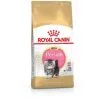 Nourriture Que Royal Canin Kitten Persian Pour Les Chatons Persans - 400g -ROYAL CANIN Soldes 2022 55418234 1