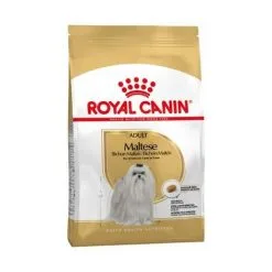 Nourriture Que Royal Canin Maltaise Adulte Race Dogs Bichon Malt’ © S Adulte Et Mature (š Partir De 10 Mois) - 500g