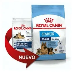 Nourriture Que Royal Canin Maxi Starter Chiots Taille Grande Taille (jusqu'š 2 Mois) Et Mres Gestant - 4kg
