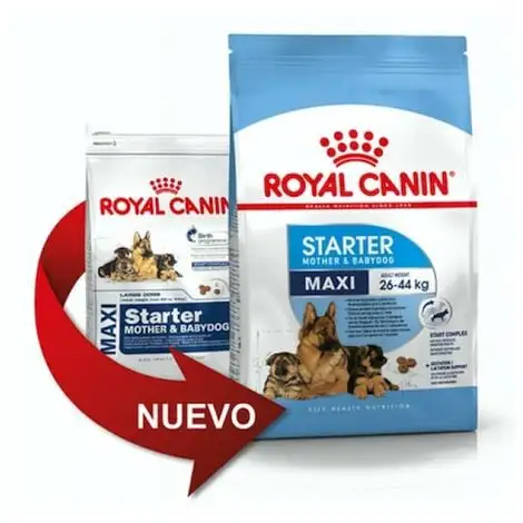 Nourriture Que Royal Canin Maxi Starter Chiots Taille Grande Taille (jusqu'š 2 Mois) Et Mres Gestant - 4kg 1 Nourriture Que Royal Canin Maxi Starter Chiots Taille Grande Taille (jusqu'š 2 Mois) Et Mres Gestant - 4kg