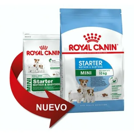 Nourriture Que Royal Canin Mini Starter Pour Les Mres Et Les Petits Chiots - 1kg 1 Nourriture Que Royal Canin Mini Starter Pour Les Mres Et Les Petits Chiots - 1kg