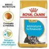 Nourriture Que Royal Canin Miniature Schnauzer Chiot Chiots (Junior) Chiens Chiots (jusqu'š 10 Mois) -ROYAL CANIN Soldes 2022 55418284 1