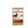 Royal Canin Dachshund Adult 85g Aliments Creux Pour Teckel (š Partir De 10 Mois) - 12 Enveloppes 85g -ROYAL CANIN Soldes 2022 55418407 1