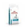 Pack Sauveau Nourriture Que Pour Les Chiens Allergiques Royal Canin Canin Analtergenic Anallergenic Anallergenic Analf8 2 X 8 Kg -ROYAL CANIN Soldes 2022 55418638 1