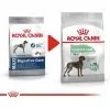 Nourriture Que Royal Canin Maxi Soins Digestifs Grands Chiens Avec Des Pistes Sensibles - SACE 10 Kg 2 Nourriture Que Royal Canin Maxi Soins Digestifs Grands Chiens Avec Des Pistes Sensibles - SACE 10 Kg -ROYAL CANIN Soldes 2022 55419133 1