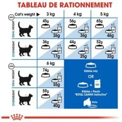 ROYAL CANIN Croquette Chat Royalcanin Indoor 400gr -ROYAL CANIN Soldes 2022 55659504 4