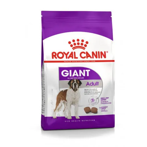 Croquettes Royal Canin Giant Adulte Sac 15 Kg 1 Croquettes Royal Canin Giant Adulte Sac 15 Kg