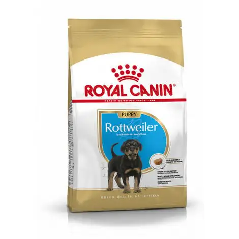 Croquettes Royal Canin Rottweiler 31 Junior Sac 12 Kg 1 Croquettes Royal Canin Rottweiler 31 Junior Sac 12 Kg