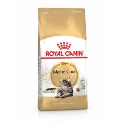 Croquettes Royal Canin Maine Coon Adult Chat à Partir De 15 Mois - Sac 4 Kg