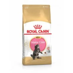 Croquettes Pour Chaton Royal Canin Kitten Maine Coon Sac 4 Kg